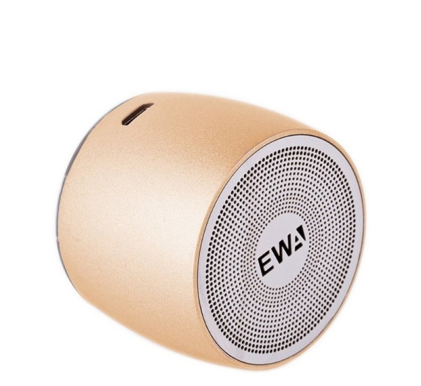 Enceinte Bluetooth Dragonne EWA A103
